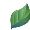 leaf-1821763_1280 leaf-1821763_1280