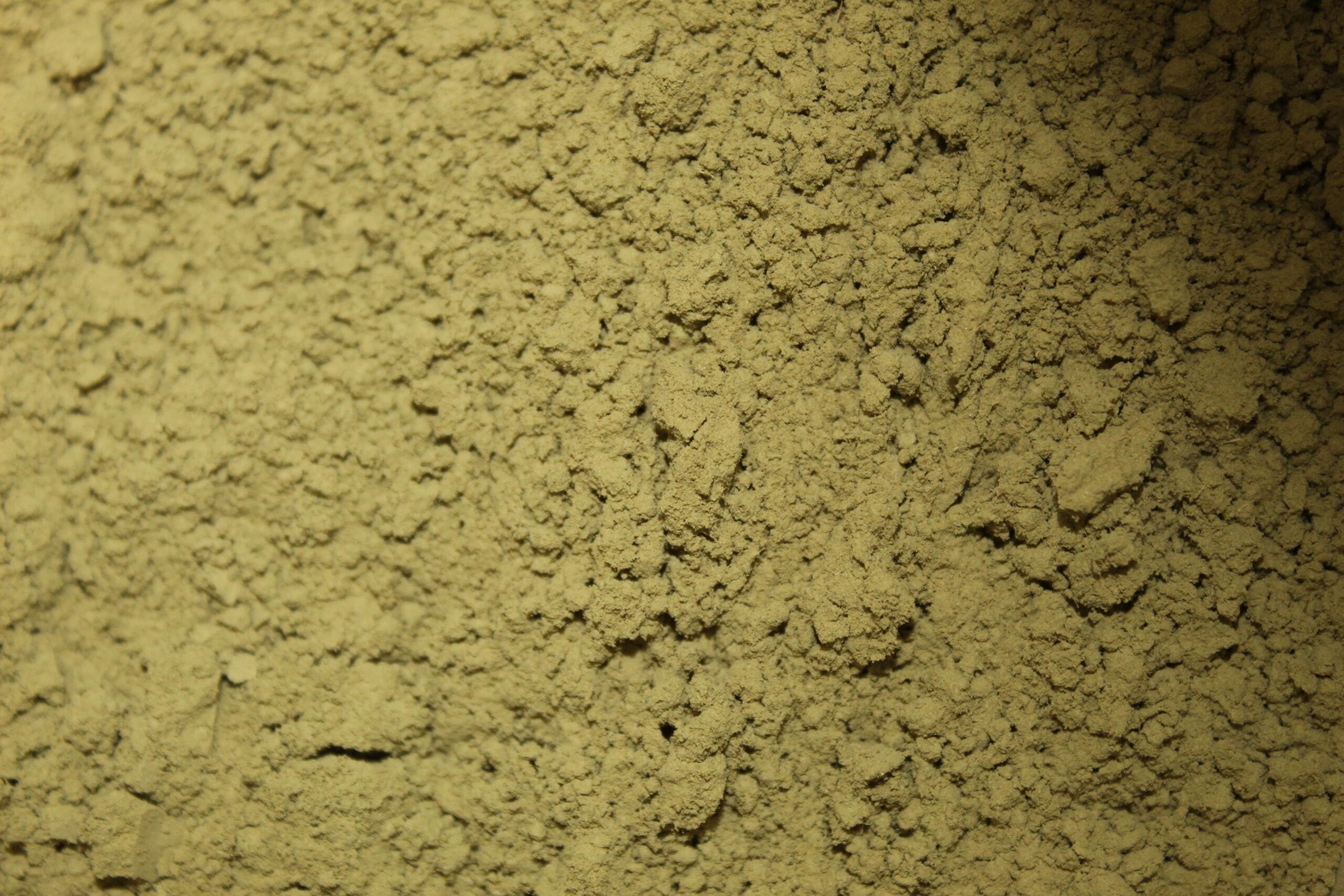 Emerald Forest Green (Powder) - Image 2