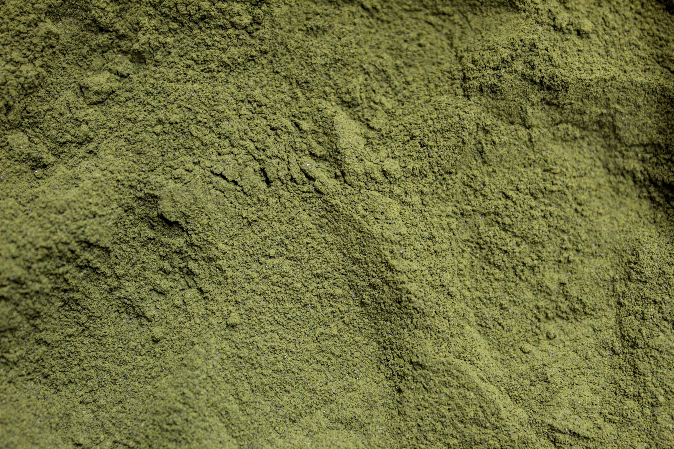 30% Green Viper Extract Powder - Image 2