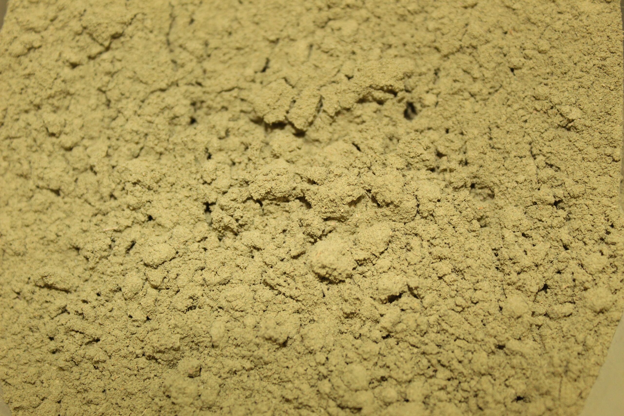 Red Ponti (Powder) - Image 2