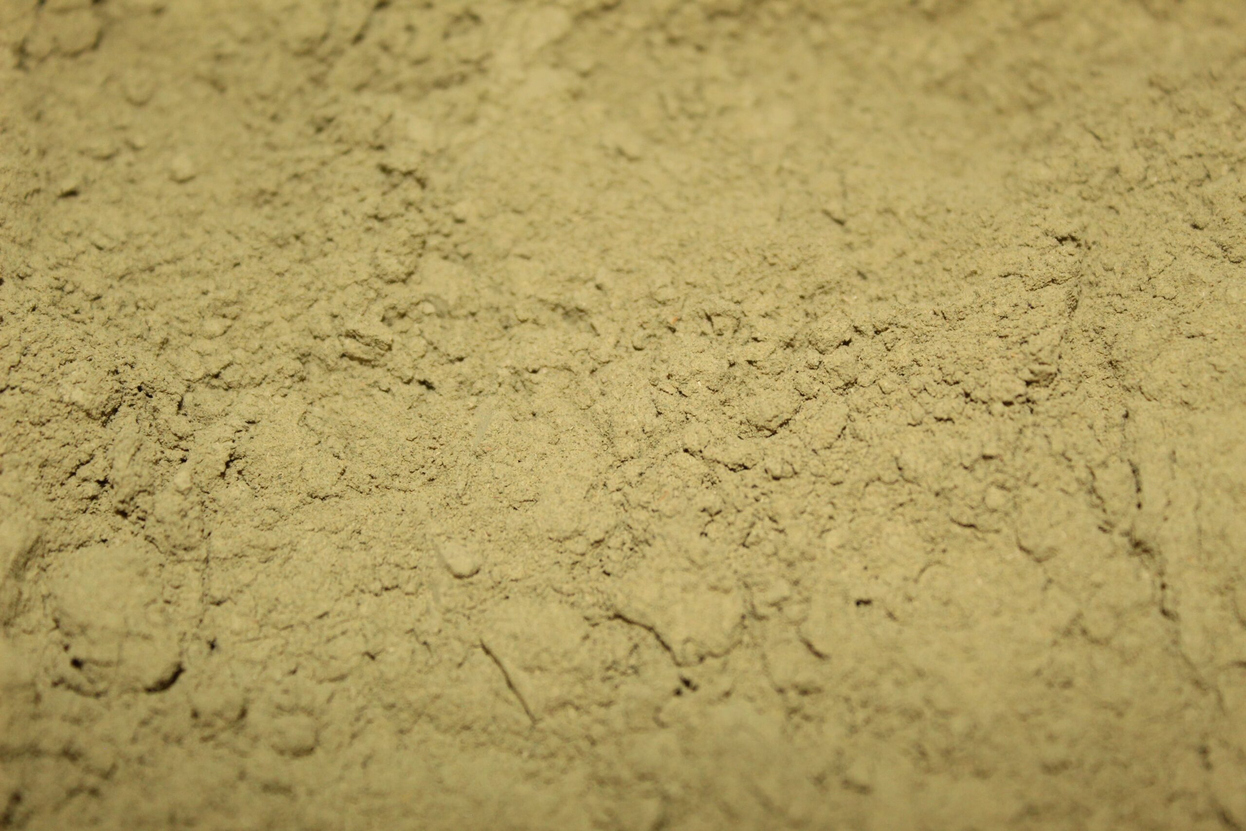 Snooze Button (Powder) - Image 2