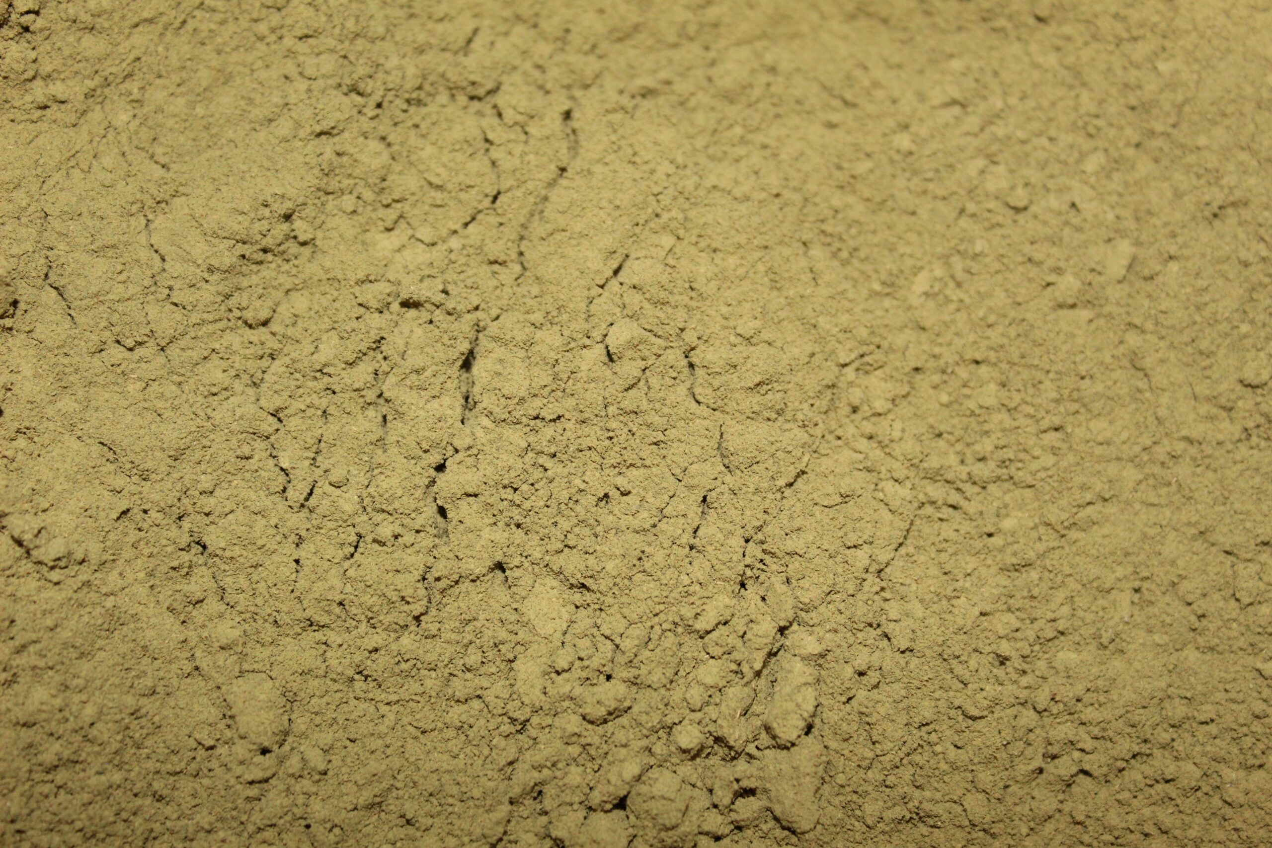 Wild Red Aceh (Powder) - Image 2